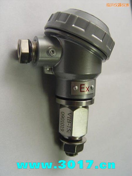 臨沂振動(dòng)信號(hào)變送器